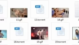 GIF 动图＋链接 【70P 198M】【百度云】