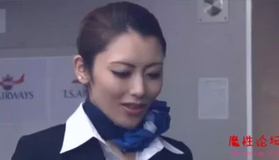 飞机上制服空姐黑**惑！视频下载[1V100MB][百度盘]