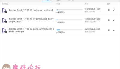 TeamSkeet 旗下多个少女系列(含ExxxtraSmall)合集下载  [1770G]  【磁力链】【115可秒下】