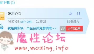 铃木心春合集【28V  46G】【BT磁力链】