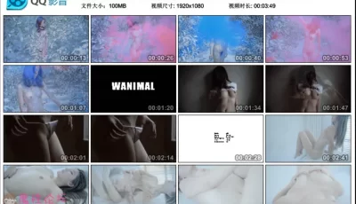 各种极品美女完美身材视觉盛宴【100MB】【百度云】