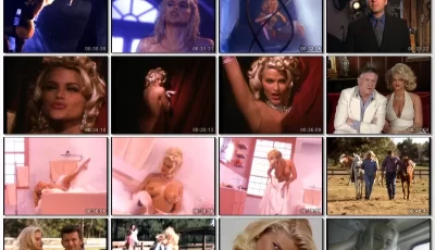 Playboy - Collection on DVD 【125G/1061个文件 】【磁力链接】
