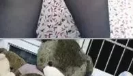 主播【暖昧儿】身体**超棒，迷死一片男人【1V835M】【百度盘】