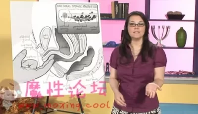 这一次，**炸天的好东西给大家。教学视频《专家指导你寻找女性G（点）》（700M/百度云）