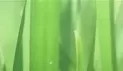 [合集] 捷克公共肉便器合集五（ 买票进场 选喜欢的洞随便搞）（5v/1.39G）（种子）