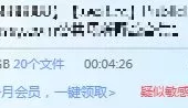 国外公共场所野战合集第一部分[10V2.33G]  【迅雷种子】