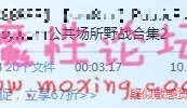 国外公共场所野战合集第二部分[10V2.12G] 【BT种子】