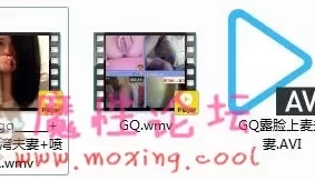 camfrog老物系列GQ[3V/323M][百度盘]
