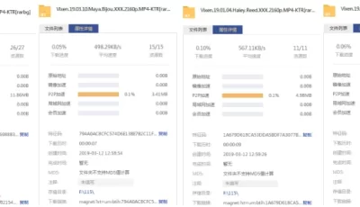 VIXEN系列：高颜值 欧美 最全合集[204V1449G][磁力链接]