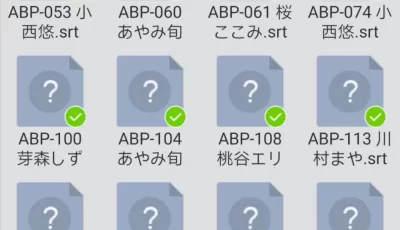 av中文字幕库!2000+字幕文件 【30M】【度盘】