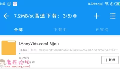 主播bijou(Daydreamcutie)合集［28V/8.3G］［磁力］