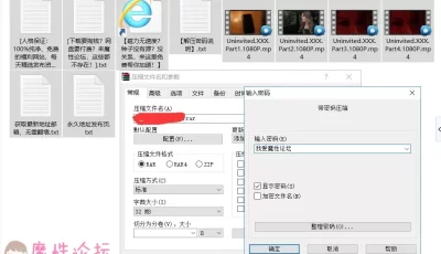 [自行打包]美剧：不速之親.Uninvited.XXX.全季4集-合集.中英雙語字幕【4V4.18G】【度盘】