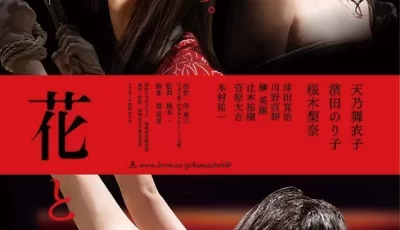 花与蛇1-4部合集 超清蓝光【4V 12.33GB】【BT种子】