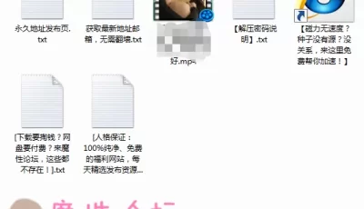 [自行打包]混血美女蝴蝶逼，**保留粉红色，插菊花就好[1V180M][百度盘]