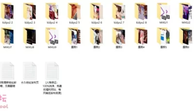 【申精】【自行打包】知名大神MMD舞蹈合集【456V+83G】【百度云】