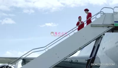鸟片经典--19年7月19日新片 三个无毛B空姐大作战 1080P [1V312M][百度盘]