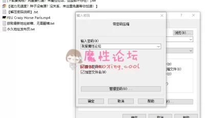 FEU Crazy Horse Paris（疯马秀之火）法语中字【1V 950MB】【百度盘】
