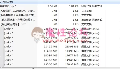 【自行打包】精选捷克按mo系列视频下载【41V9.41GB】【百度网盘】