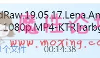 女神 Lena Anderson 黑白配 [2v 11.19G][BT种子]