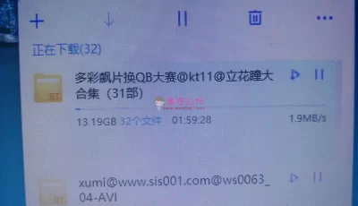 【回味经典】名优(MiLLion)立花瞳31部合集【13g】【种子】