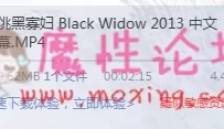 美国四级《轻佻黑寡妇》【1V629MB】【种子】