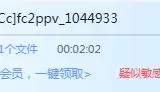 一部画质可以的 【1V/1.35g】【种子】