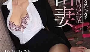 [中文字幕]我的一周同居生活，我捡到了一个酒醉不堪的人妻办公室女士-青山水穗[02:04:39]
