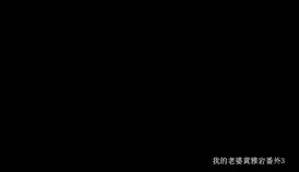 <b style='color: red;'>[已失效] </b>[转载搬运] 我的老婆黄雅岩番外3 [1V+1.13G][百度盘]