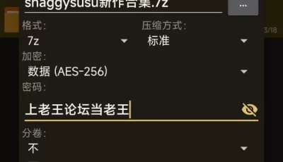 p站作者shaggysusu最近几月新作