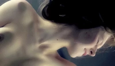Angelica合集/15v/14G/磁力链接