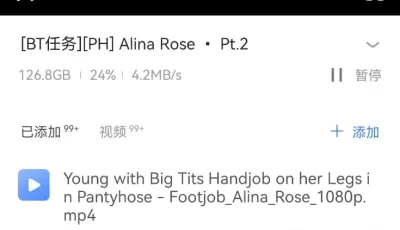 [转载搬运] Alina Rose超级合集 [nv+241g][附件下载]