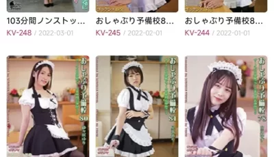 [转载搬运] #FS.KnightsVisual part SIX  KV-239到KV-258 [视频+34.6][磁力链接]