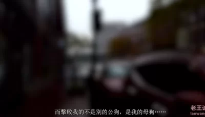 [自行打包] 【VAM】Madei 妻心如刀2 [1+1.8g][百度盘]