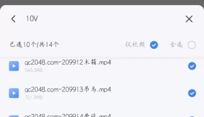 [转载搬运] 禅狱工作室作品 [10+6.7G][附件下载]