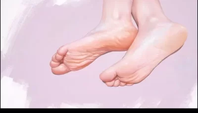 [转载搬运] 【图包】足控写实图包 [未知+6M][其他下载方式]