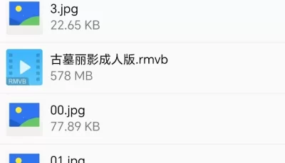 [转载搬运] 经典影片成人版终极珍藏集 [46V+51G][附件下载]