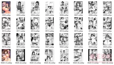 <b style='color: red;'>[已失效] </b>[转载搬运] レンタル种付けおじさん [294P+79M][百度盘]