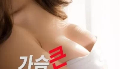 [转载搬运] [韩国/三级] 大胸女友 Big Girlfriend [韩语中字] [1v+2.14GB][磁力链接]