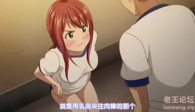 [转载搬运] 高潮委员 [2V+330MB][百度盘]