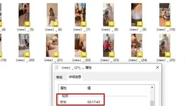 [转载搬运] OF留洋华人淫乱聚会，绿帽夫妻【索菲娅-薇】订阅私拍，真实换妻肉欲轰趴群P乱交 [29V+6460M][磁力链接]