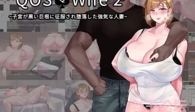 【双端】【日式RPG】QOS Wife -1+2+3 三部合集 汉化版