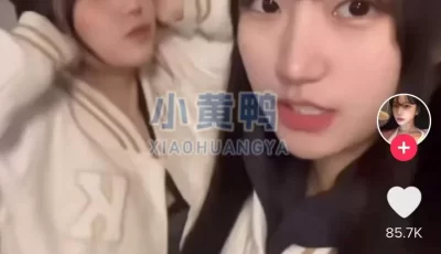 TikTok v33.1.4国际版抖音 ，无封锁，无限制！