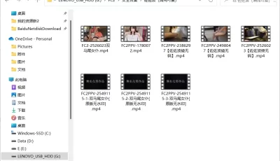 [转载搬运] fc2佐佐波绫无码合集 [8v+19.3G][百度盘]