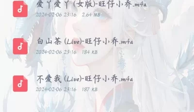空痕音乐下载器，批量下载音乐。