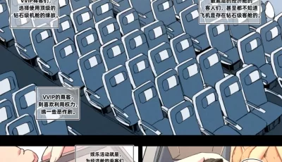 <b style='color: red;'>[已失效] </b>[转载搬运] 婊子空姐使用指南 [24P+9M][百度盘]