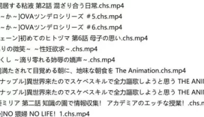 [转载搬运] 2024年3月更新：2月鲤鱼蕃薯1080P汉化合集 [1+4G][百度盘]