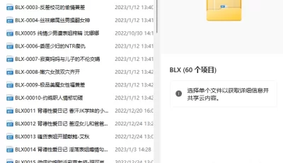 [自行打包] 麻豆传媒个人收集大全 [1+133 MB][附件下载]