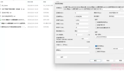 [自行打包] SA國際傳媒 SAKY010 迷戀同居室友的大雞巴 吳文淇 [1+628M][百度盘]