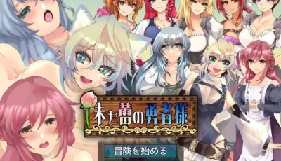 【PC+joi】【日式RPG】RJ01168659 生肉版