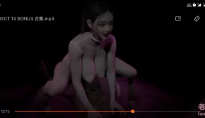 PROJECT 15 BONUS 合集